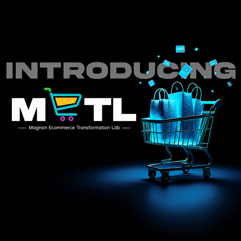 Magnon-Ecommerce-Transition-Assessment-Lab-image-icon-11-21-2024